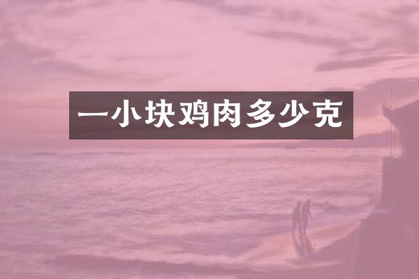 一小块鸡肉多少克
