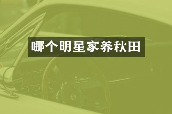 哪个明星家养秋田