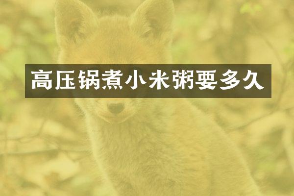 高压锅煮小米粥要多久