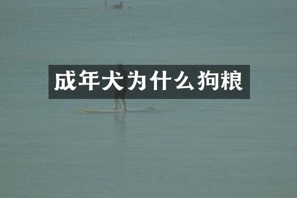 成年犬为什么狗粮
