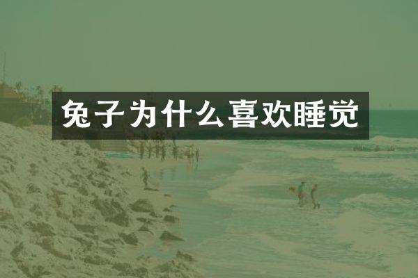 兔子为什么喜欢睡觉