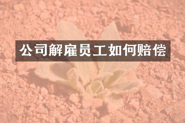 公司解雇员工如何赔偿