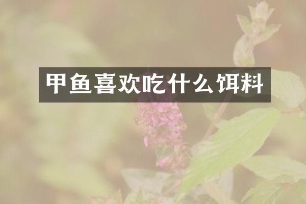甲鱼喜欢吃什么饵料