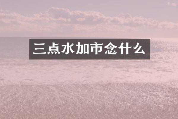 三点水加市念什么