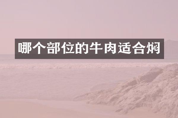 哪个部位的牛肉适合焖
