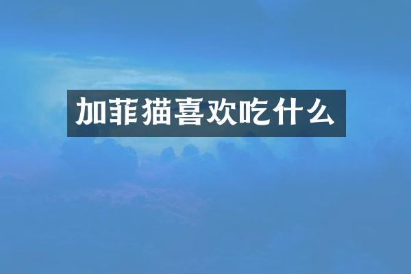 加菲猫喜欢吃什么