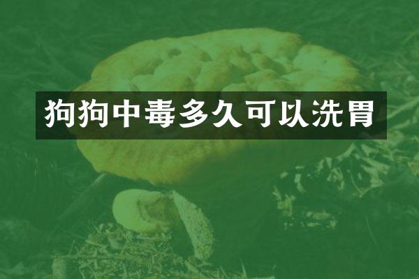 狗狗中毒多久可以洗胃