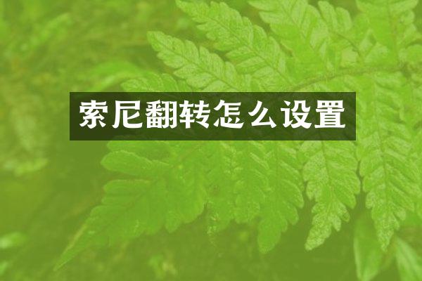 索尼翻转怎么设置