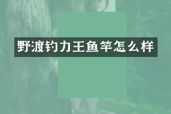 野渡钓力王鱼竿怎么样