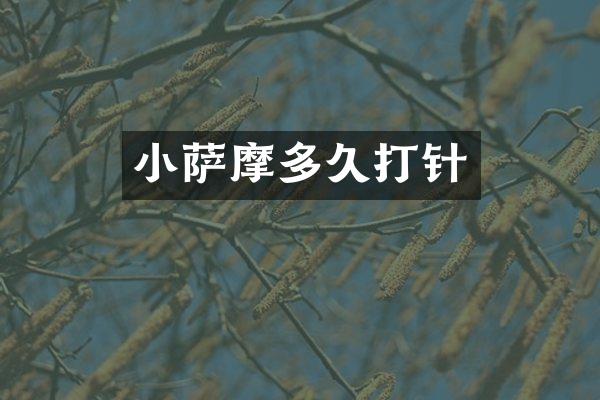 小萨摩多久打针