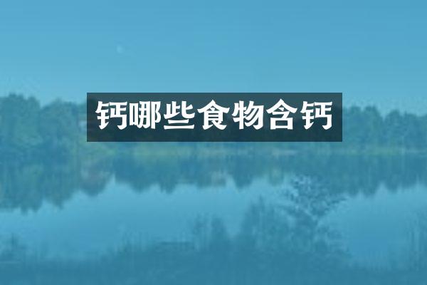 钙哪些食物含钙