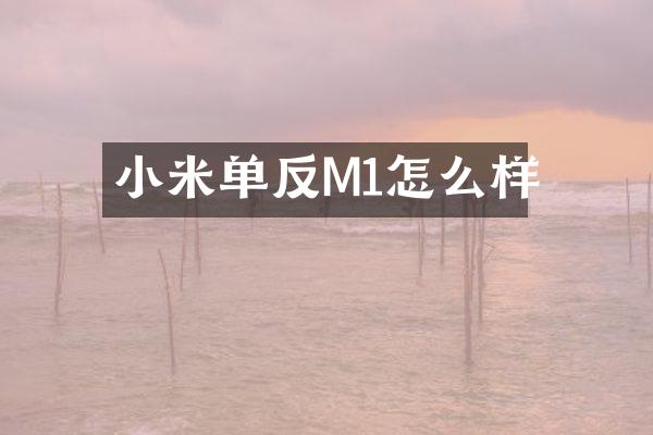 小米单反M1怎么样