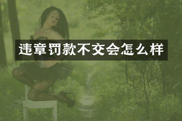 违章罚款不交会怎么样