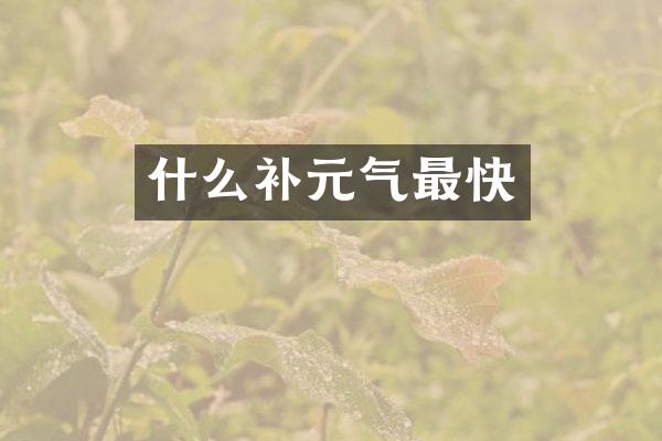什么补元气最快