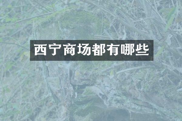 西宁商场都有哪些