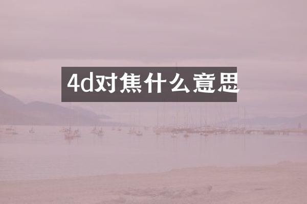 4d对焦什么意思
