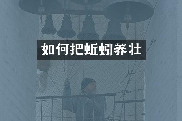 如何把蚯蚓养壮