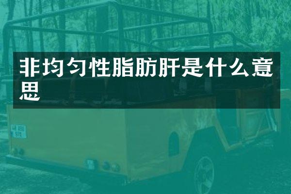 非均匀性脂肪肝是什么意思