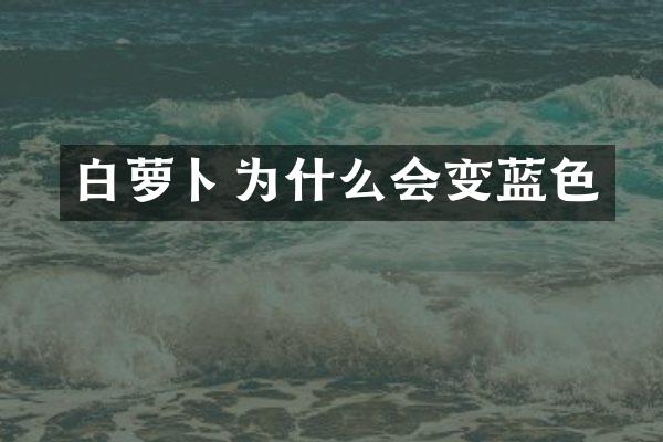 白萝卜为什么会变蓝色