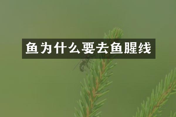 鱼为什么要去鱼腥线