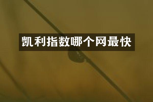 凯利指数哪个网最快