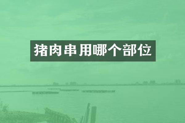 猪肉串用哪个部位