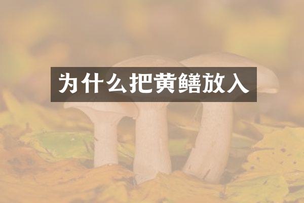 为什么把黄鳝放入