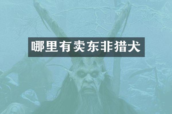 哪里有卖东非猎犬