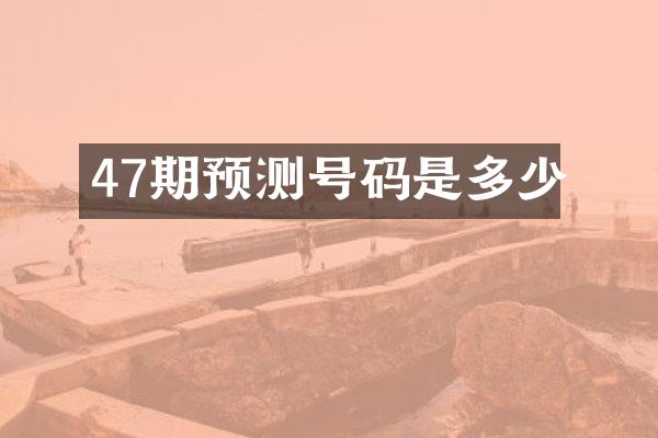 47期预测号码是多少