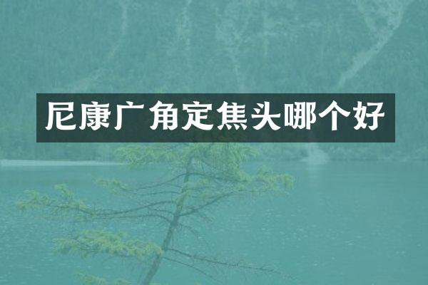 尼康广角定焦头哪个好