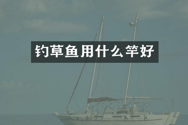 钓草鱼用什么竿好