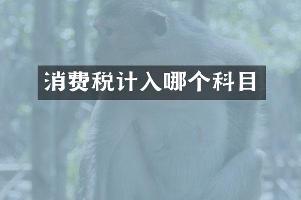 消费税计入哪个科目