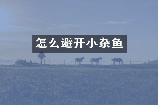 怎么避开小杂鱼