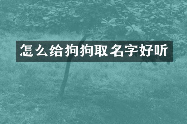 怎么给狗狗取名字好听