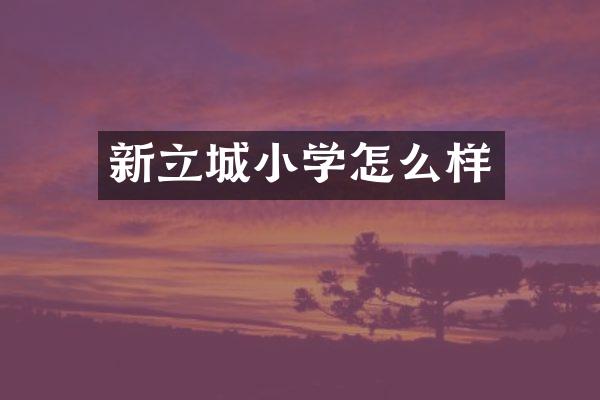 新立城小学怎么样