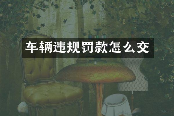 车辆违规罚款怎么交