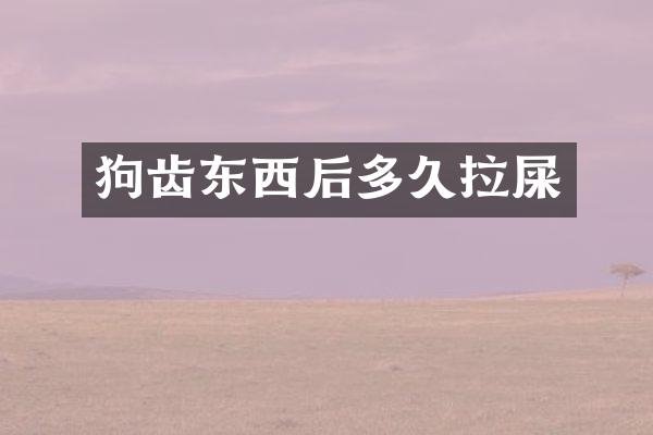 狗齿东西后多久拉屎