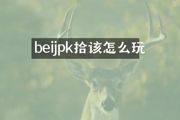 beijpk拾该怎么玩