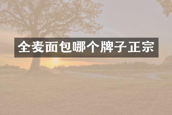 全麦面包哪个牌子正宗