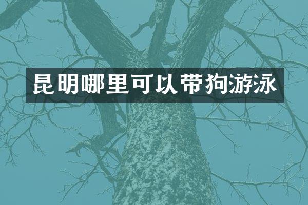 昆明哪里可以带狗游泳