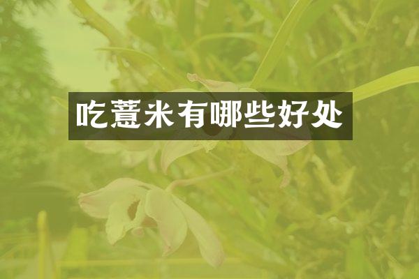 吃薏米有哪些好处