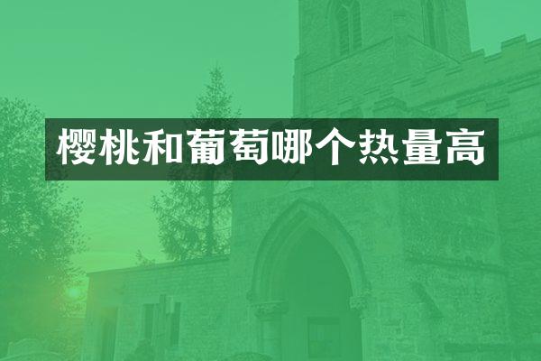 樱桃和葡萄哪个热量高