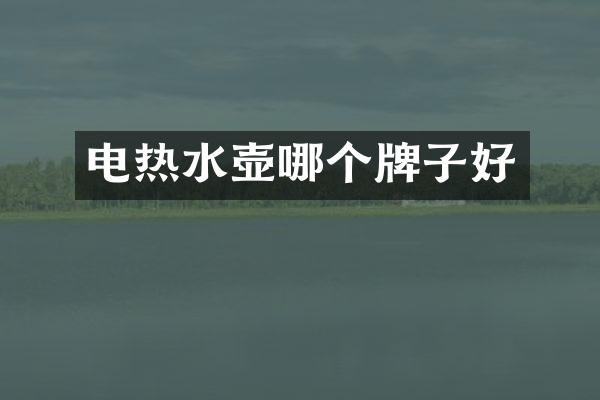 电热水壶哪个牌子好