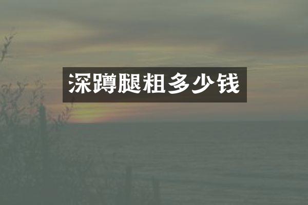 深蹲腿粗多少钱