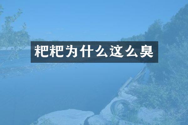 粑粑为什么这么臭