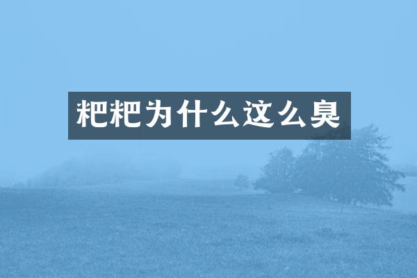 粑粑为什么这么臭