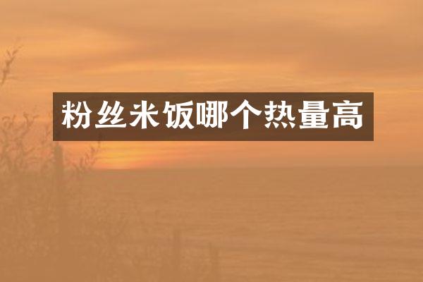 粉丝米饭哪个热量高