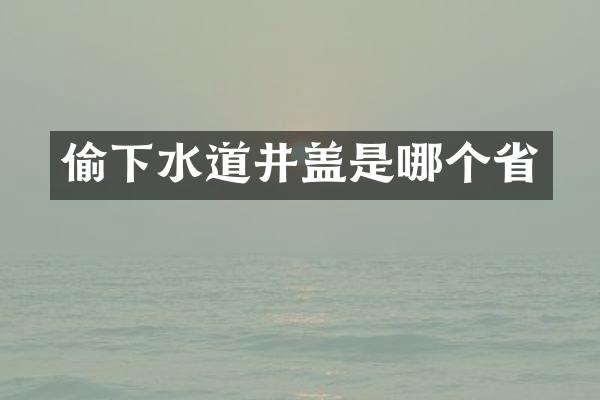 偷下水道井盖是哪个省