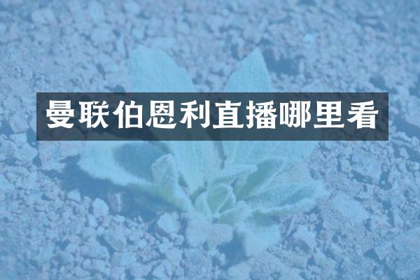 曼联伯恩利直播哪里看