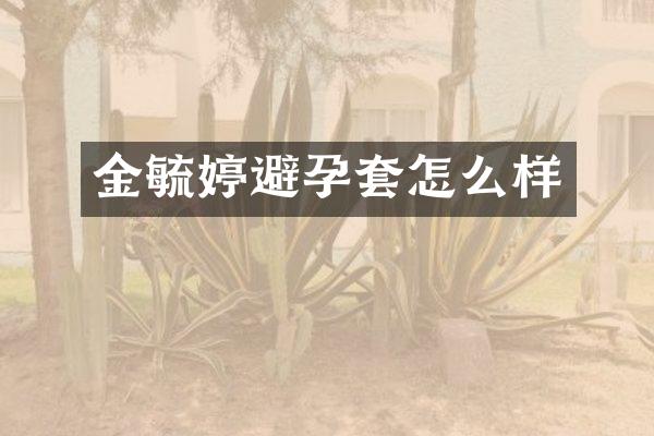 金毓婷避孕套怎么样